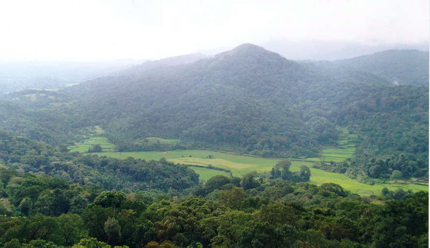 Bangalore – Mysore –Wayanad- Coorg Students Group Tour