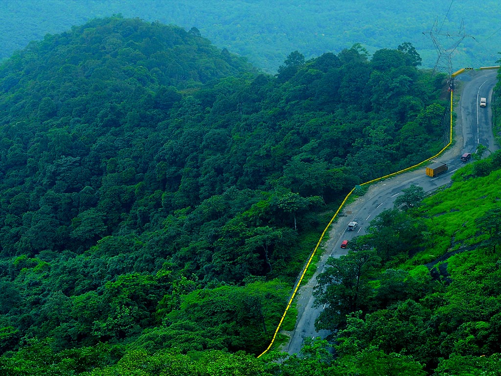Bangalore – Mysore – Wayanad College Study Tour